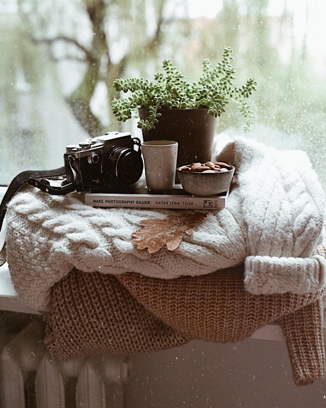 Осень уют хюгге