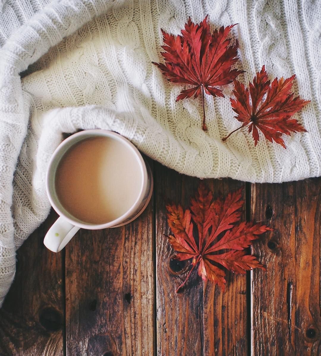 Уютное чаепитие зимой