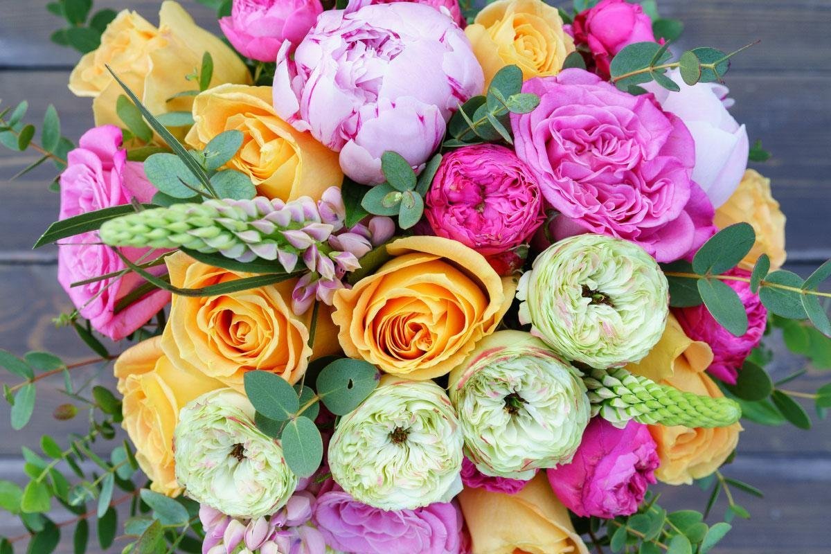 Роза кустовая пионовидная нежно розовая