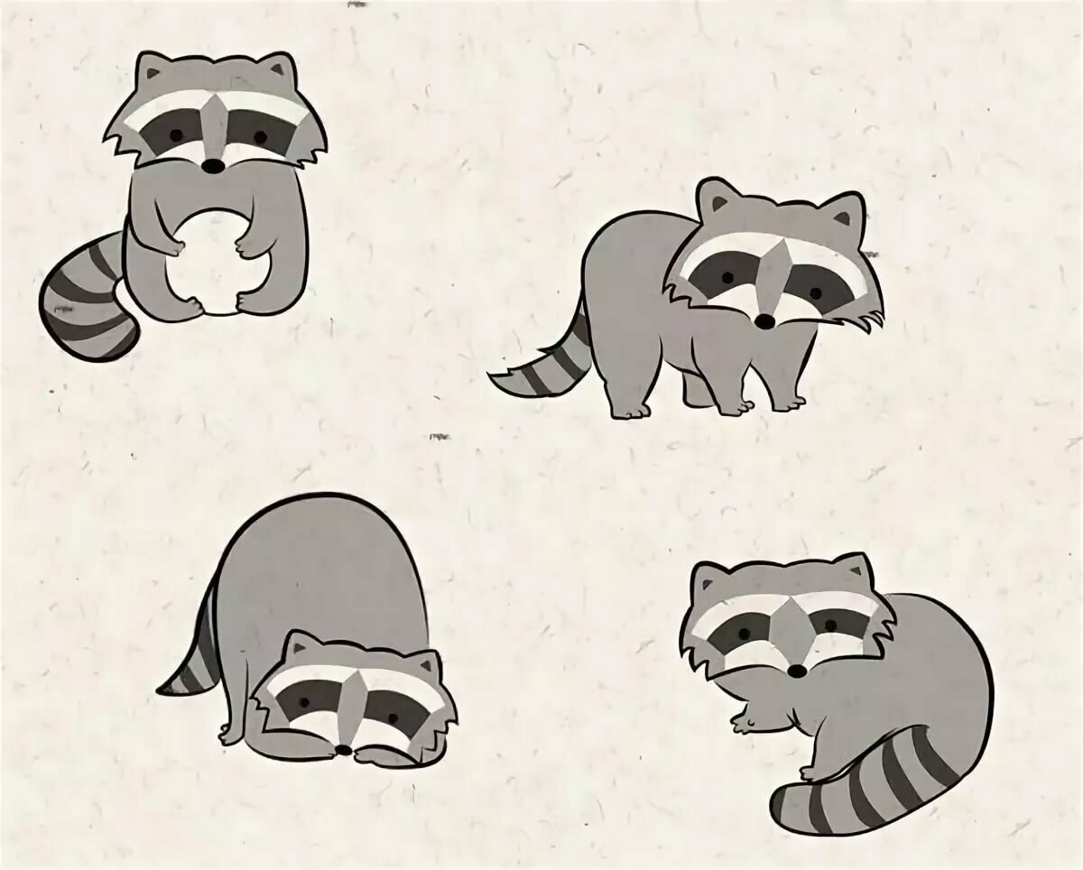 Енот рисунок для срисовки легкие