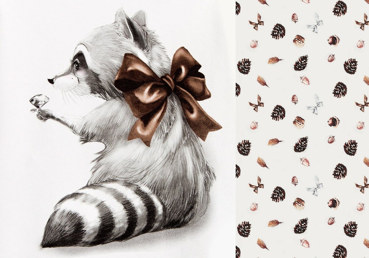 Енотики милые арты