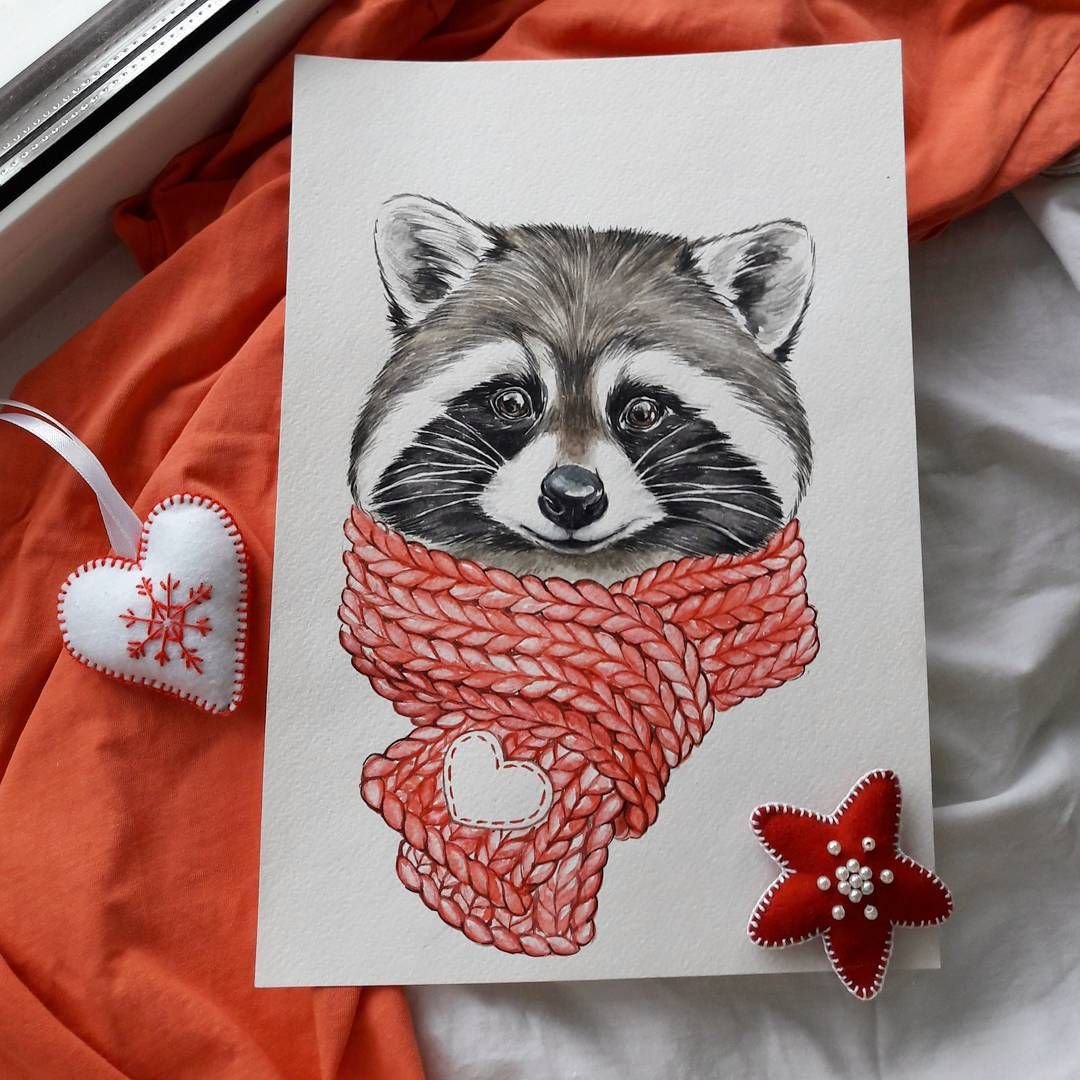 Красивые рисунки енота