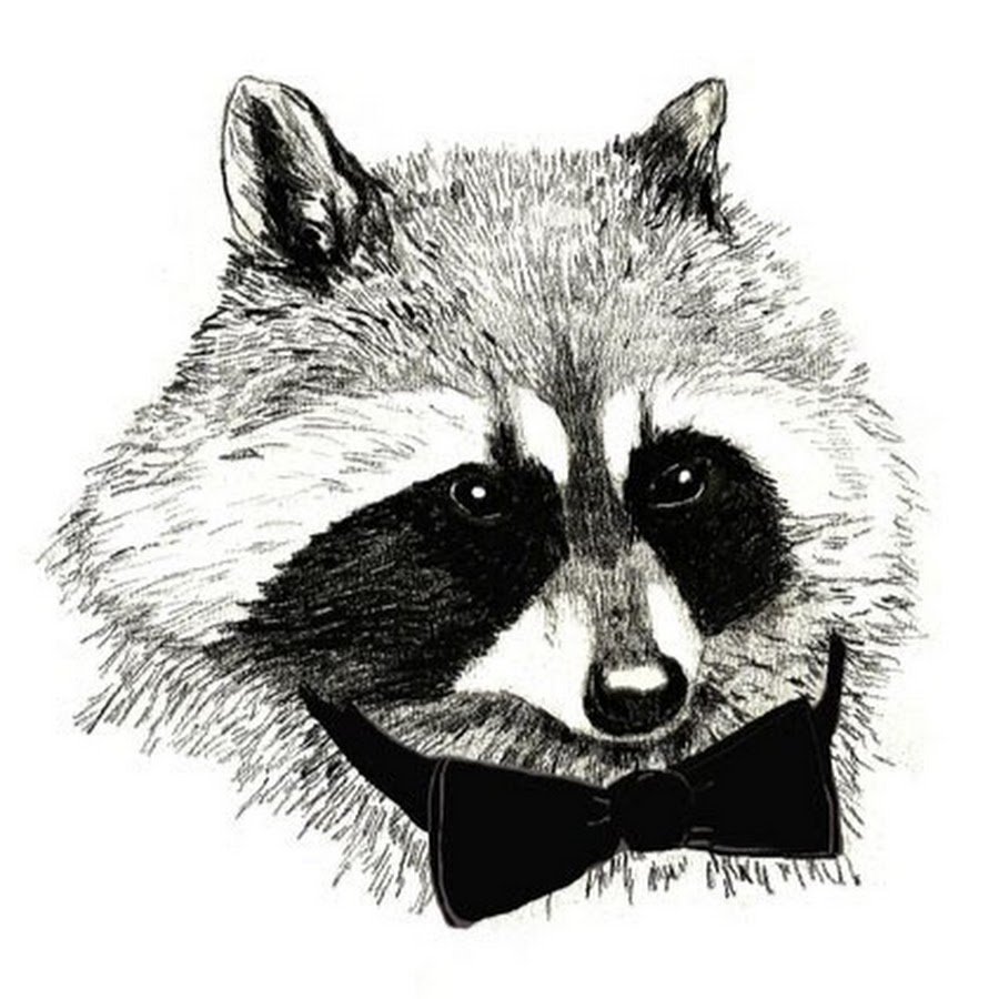 Нарисованная морда енота
