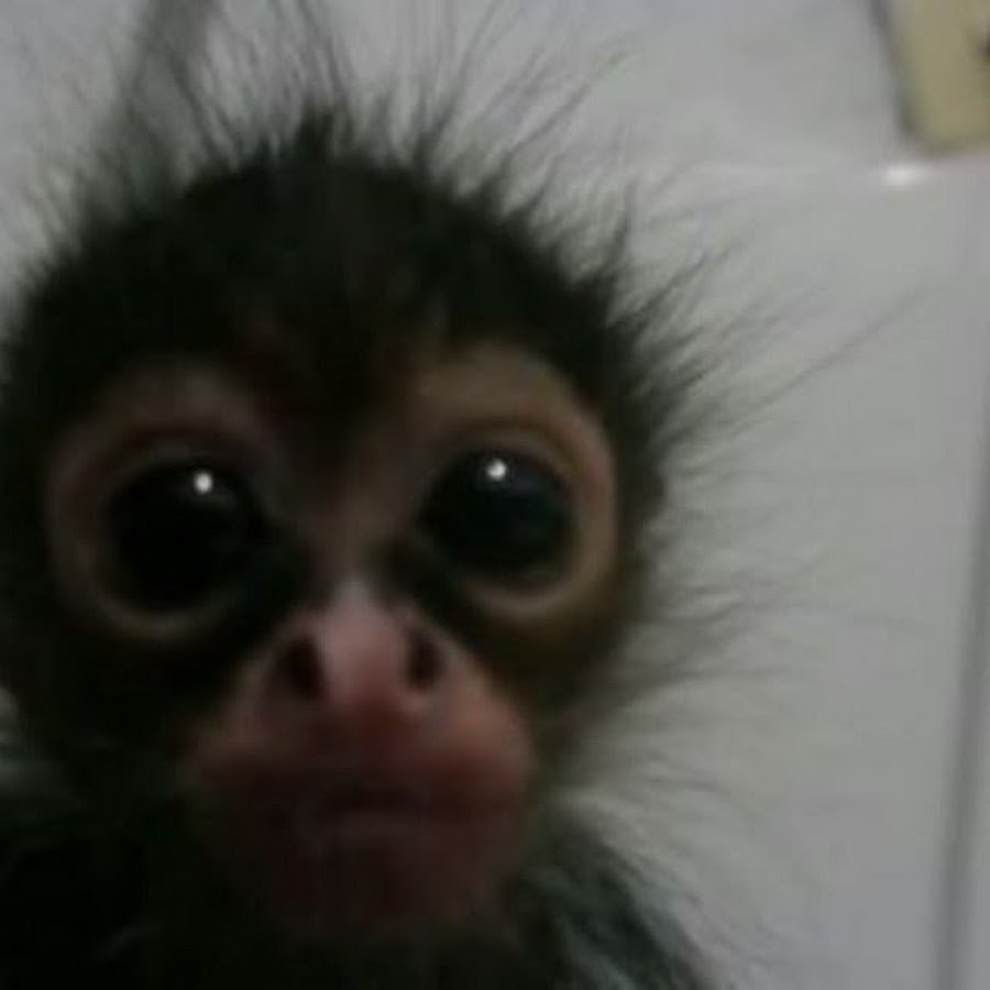 Калыван калытян