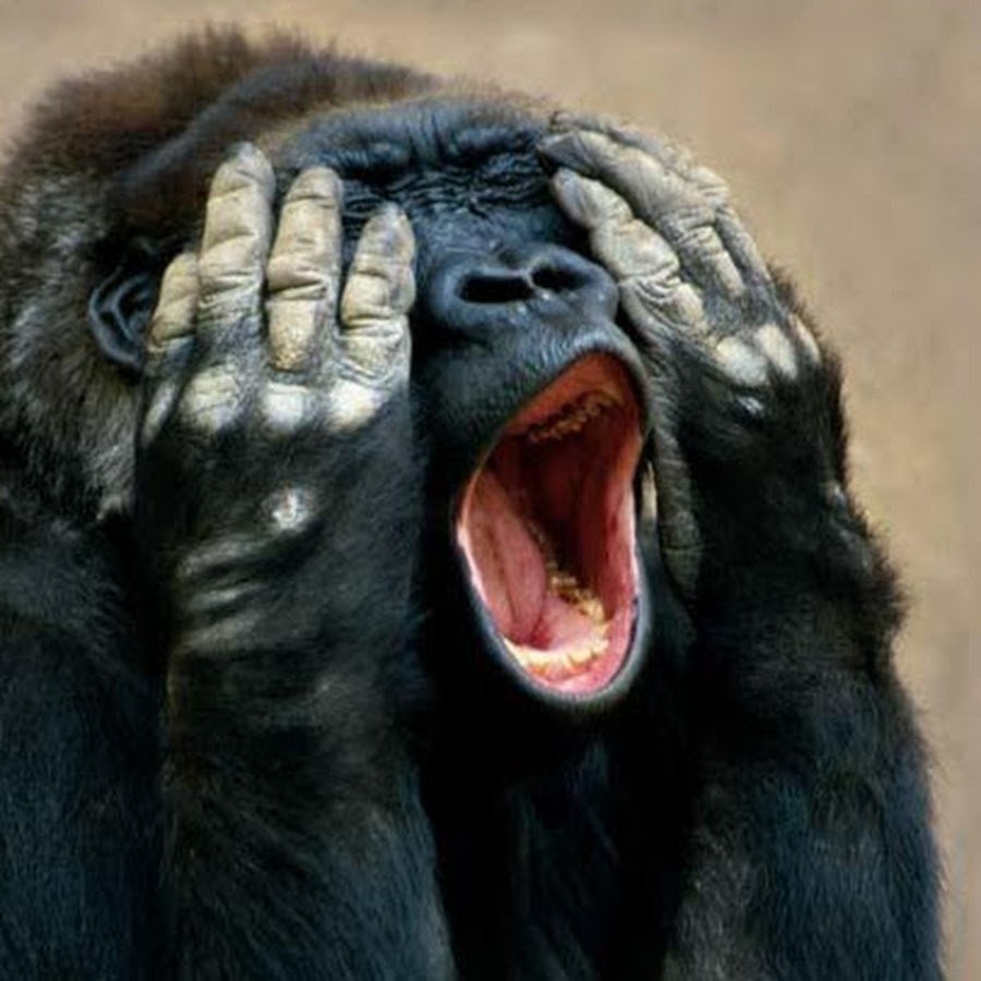 О горе мне горе