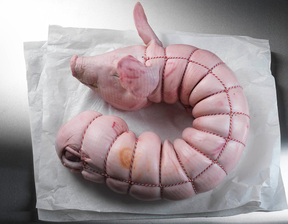 Хвост свиньи вектор