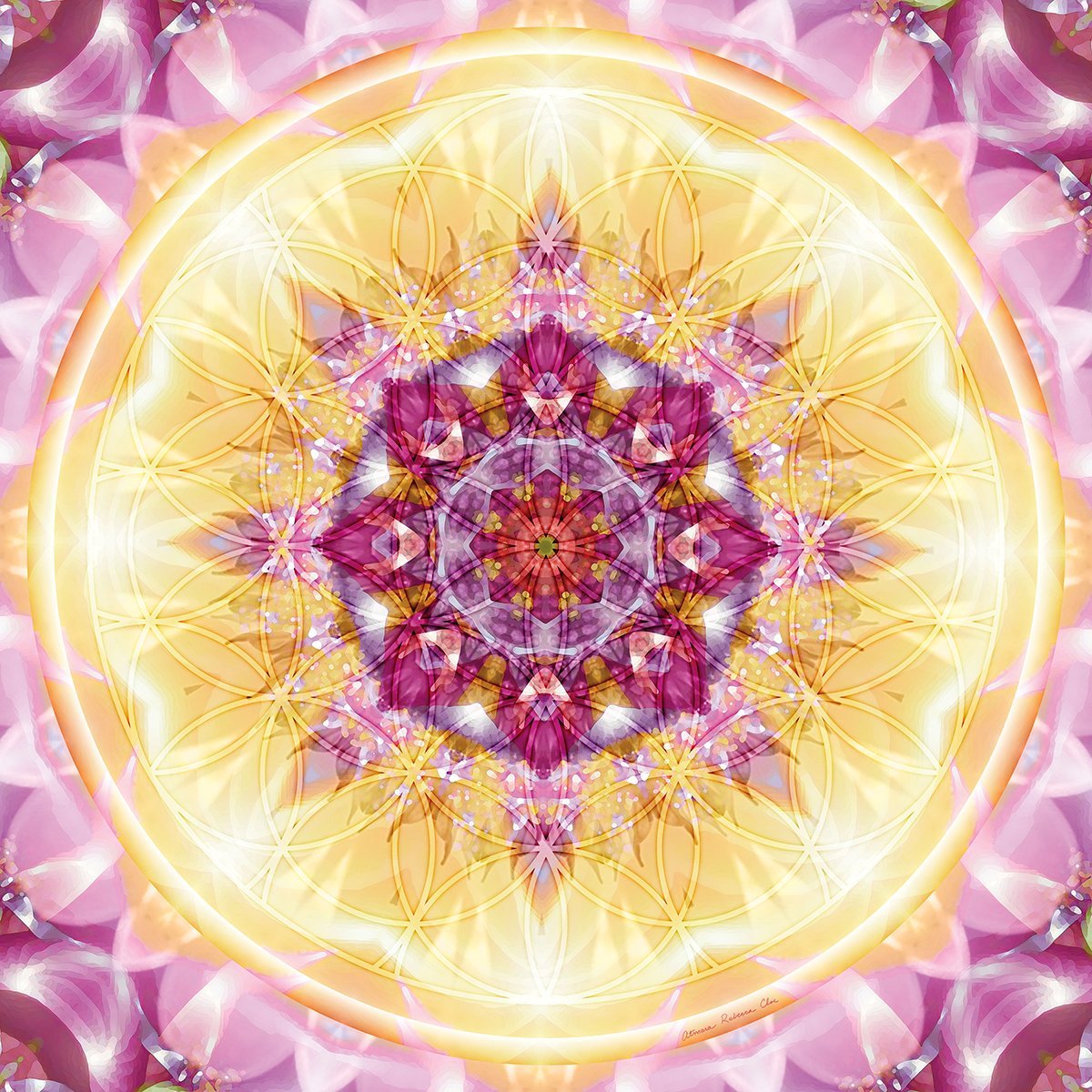 Мандала изобилие Вселенной Габо