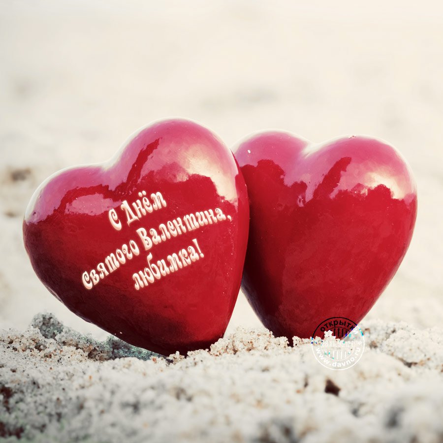 Мишки Марины Федотовой