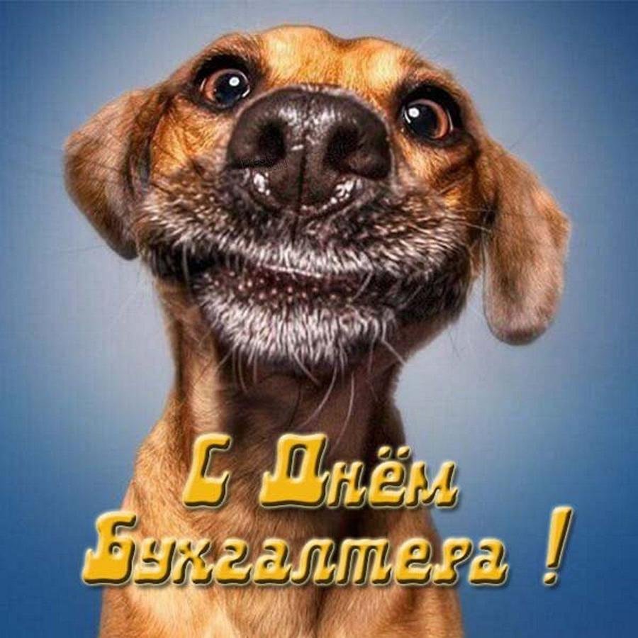 Прикольные поздравления с днём рождения племяннице