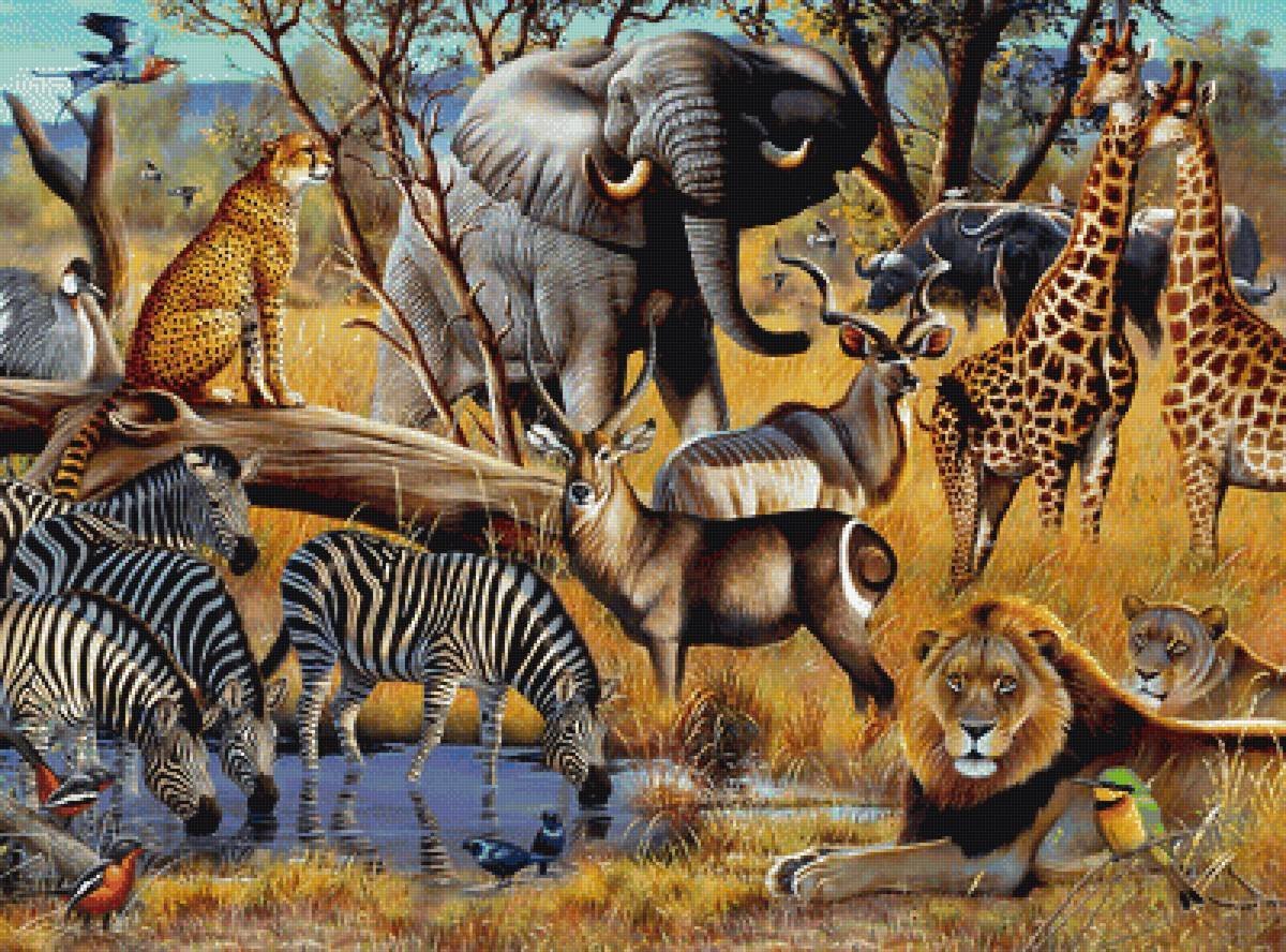 Много животных Африки