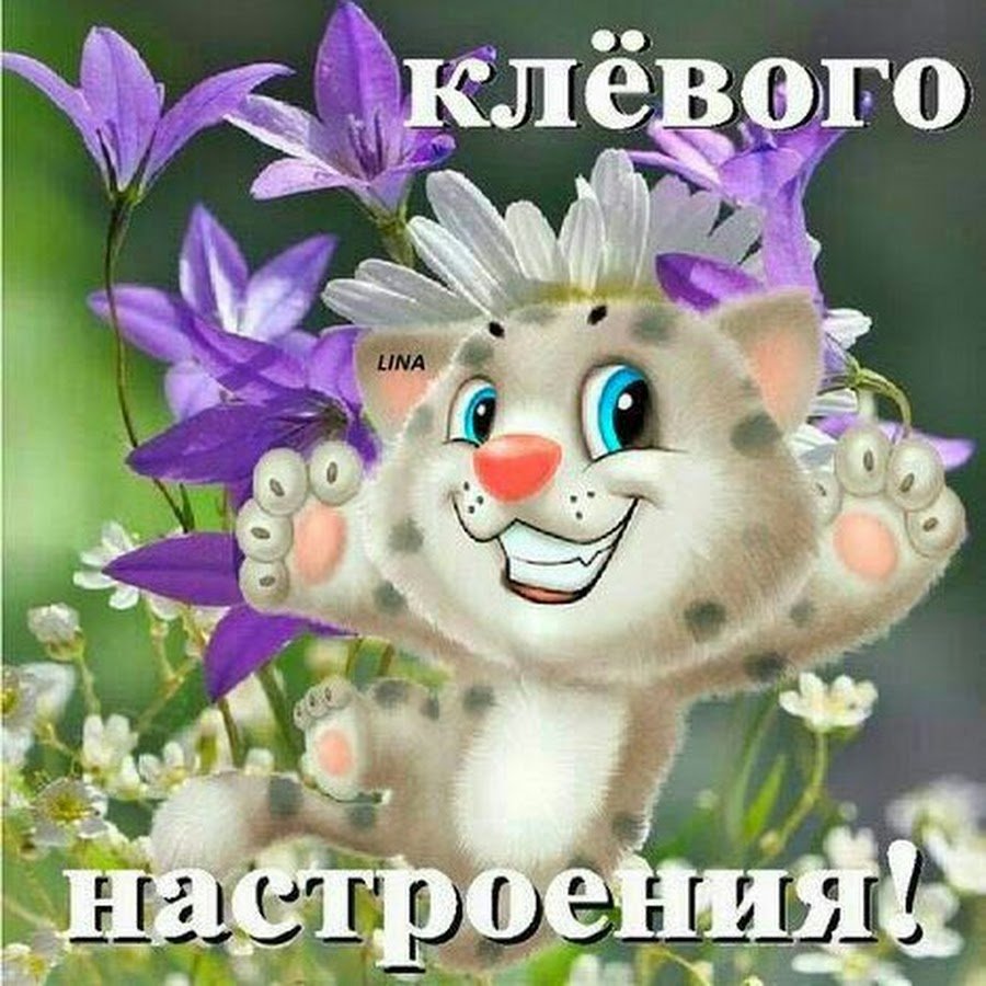 Добрые статусы в картинках