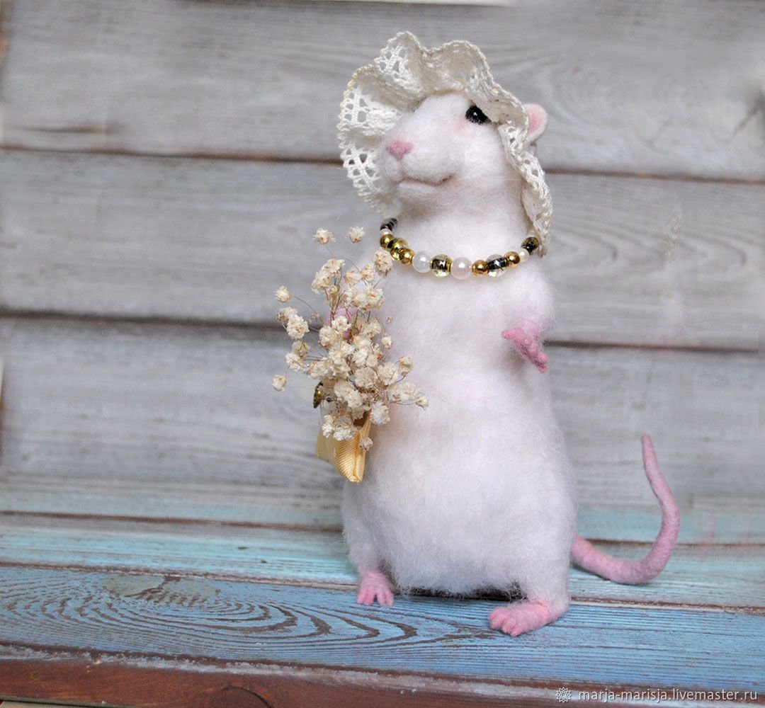 Крыса нарядная