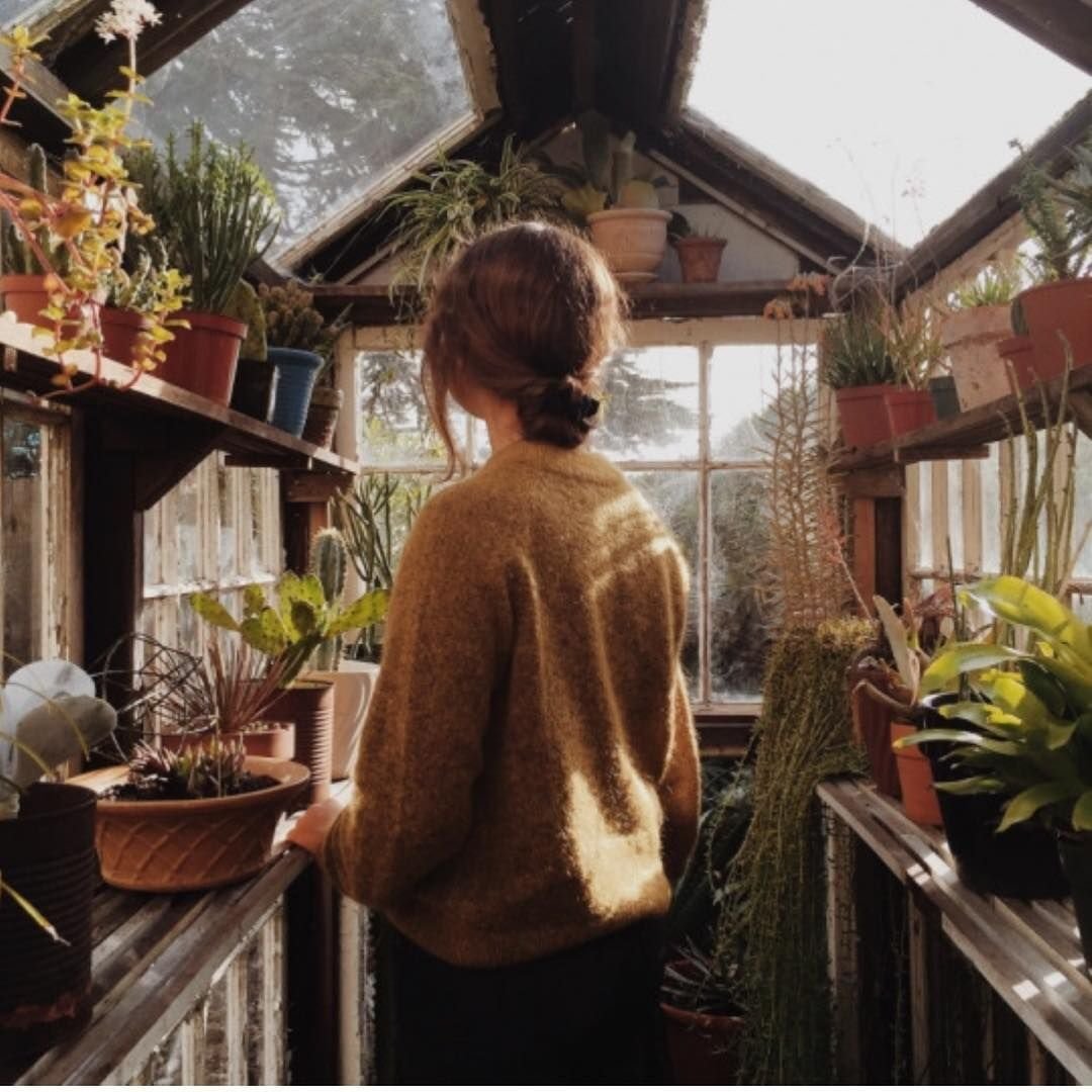 Дежавю фильм 2006