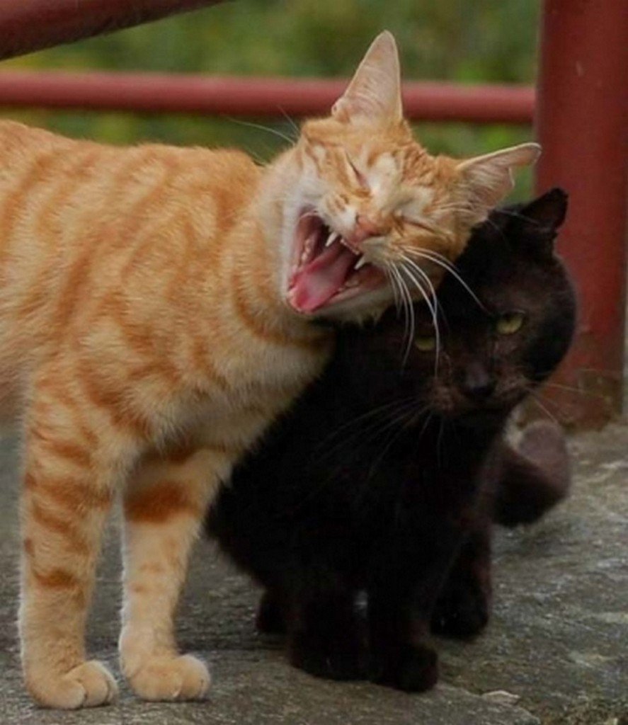 Плакат для встречи из армии