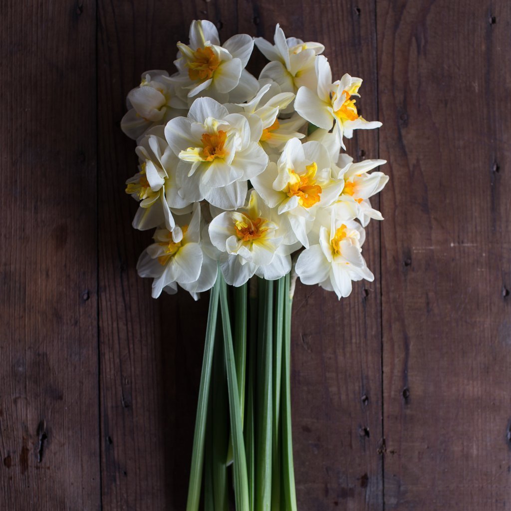 Нарцисс сент Кеверн