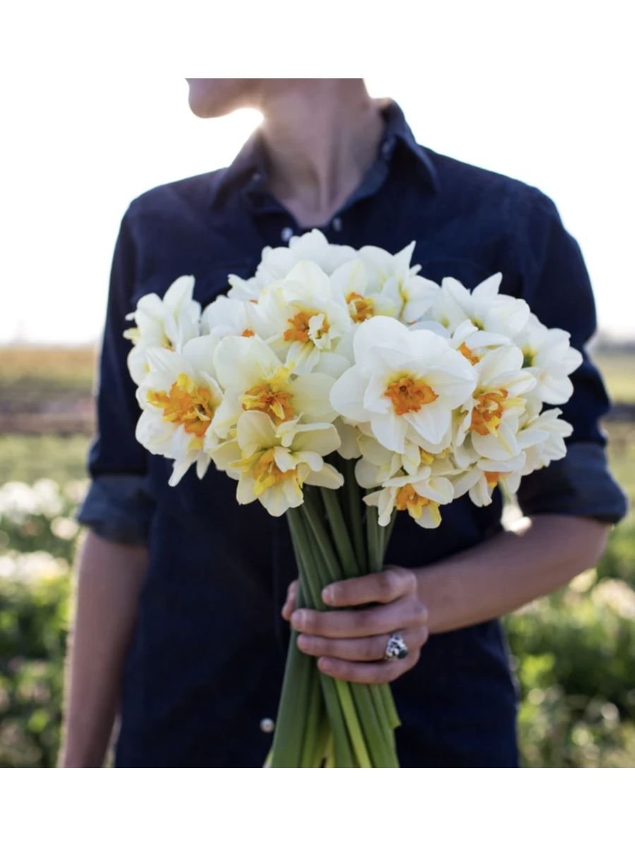 Тюльпаны и нарциссы букет