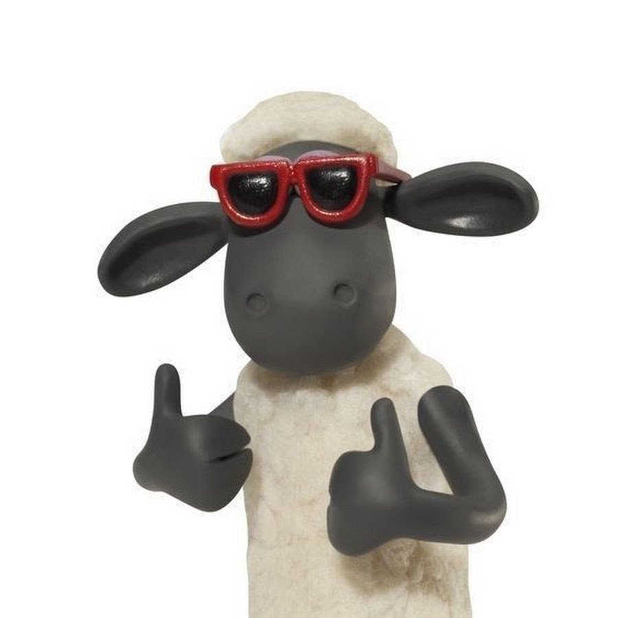 Барашек в очках