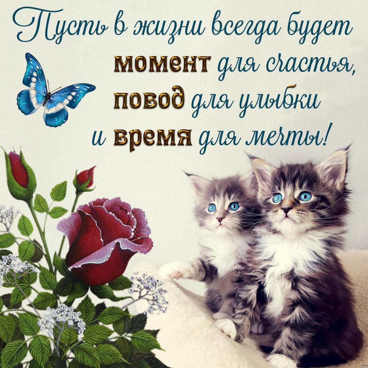 Добрые пожелания