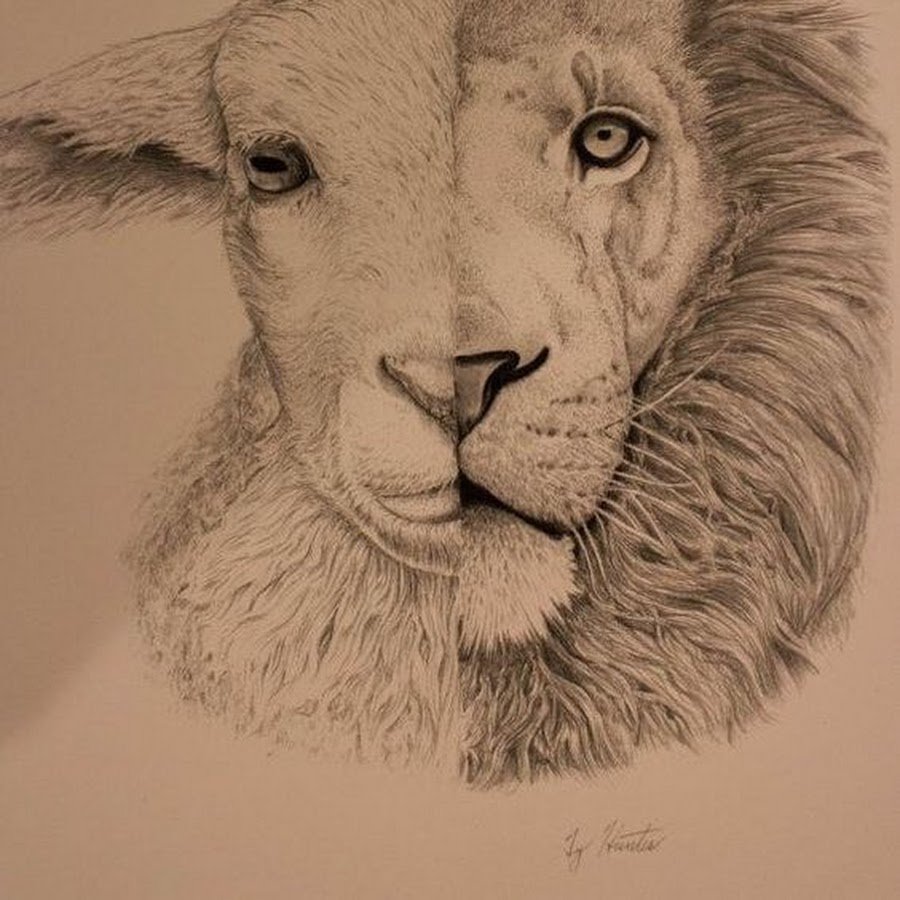 Лев с короной черно белый