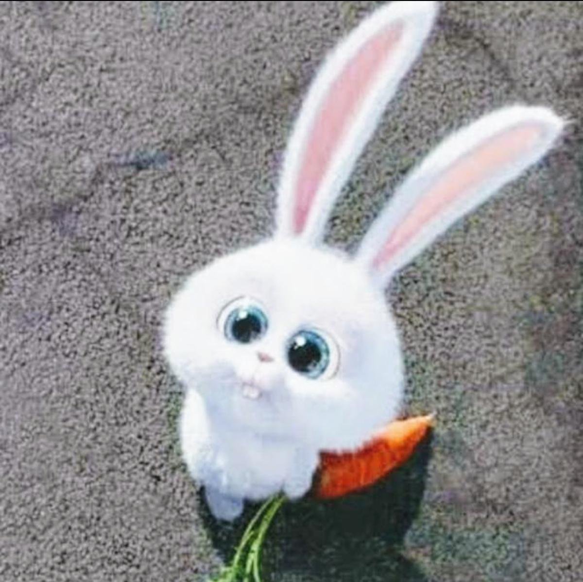 Кошка в костюме кролика