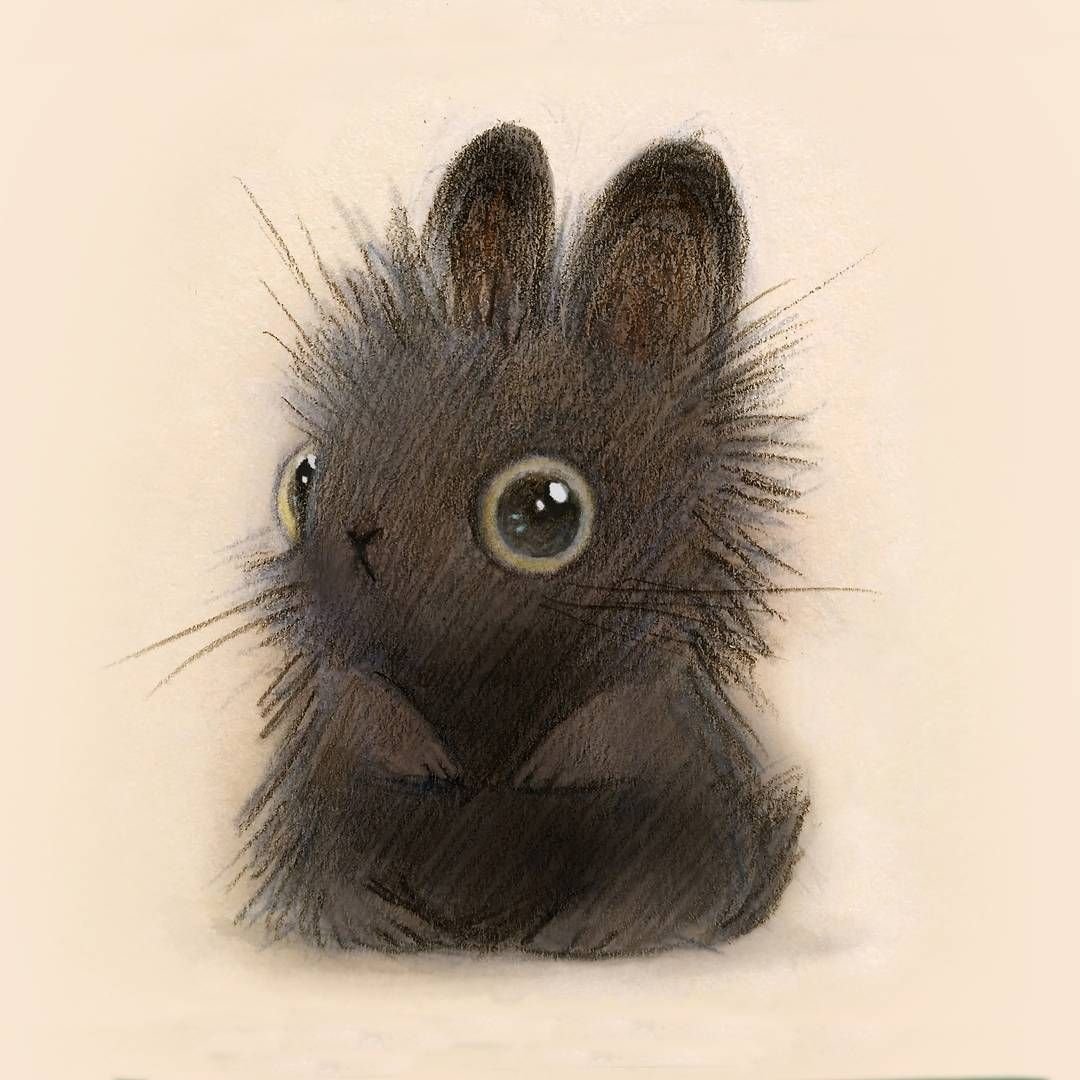 Котозаяц скрещенный