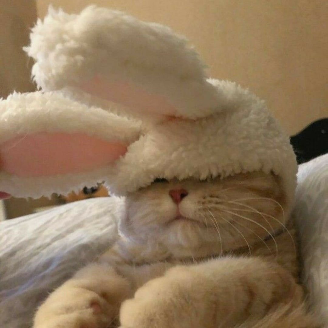 Эмилия Зайка