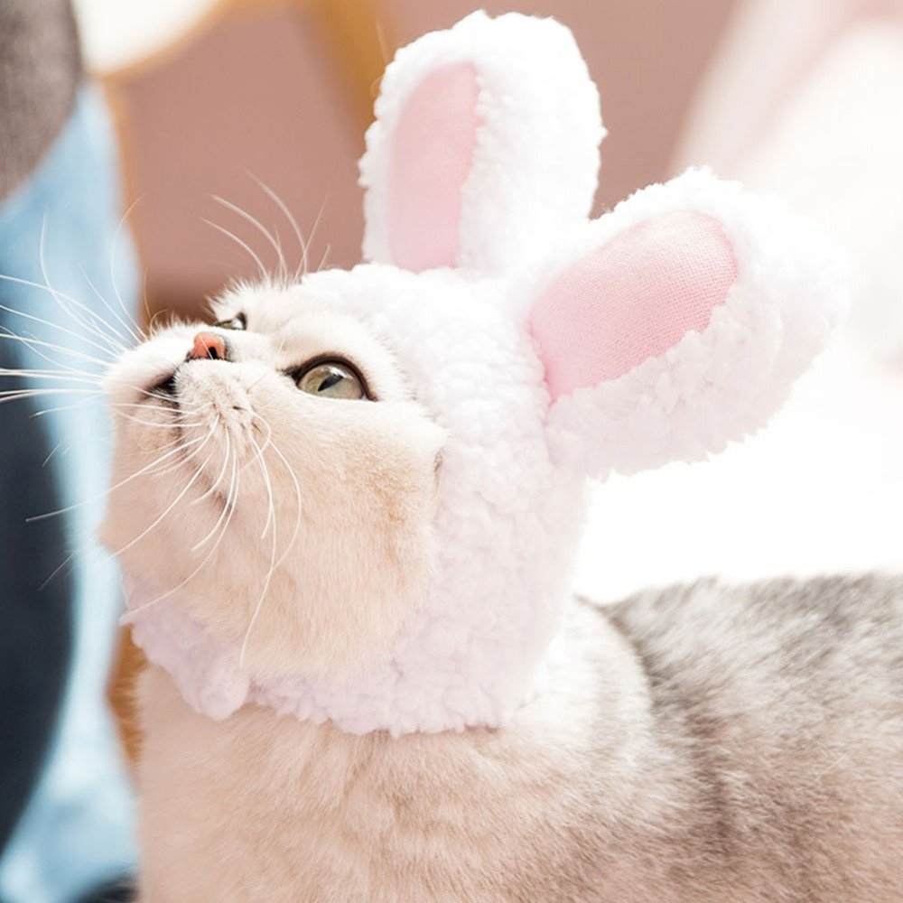 Пасха кролик