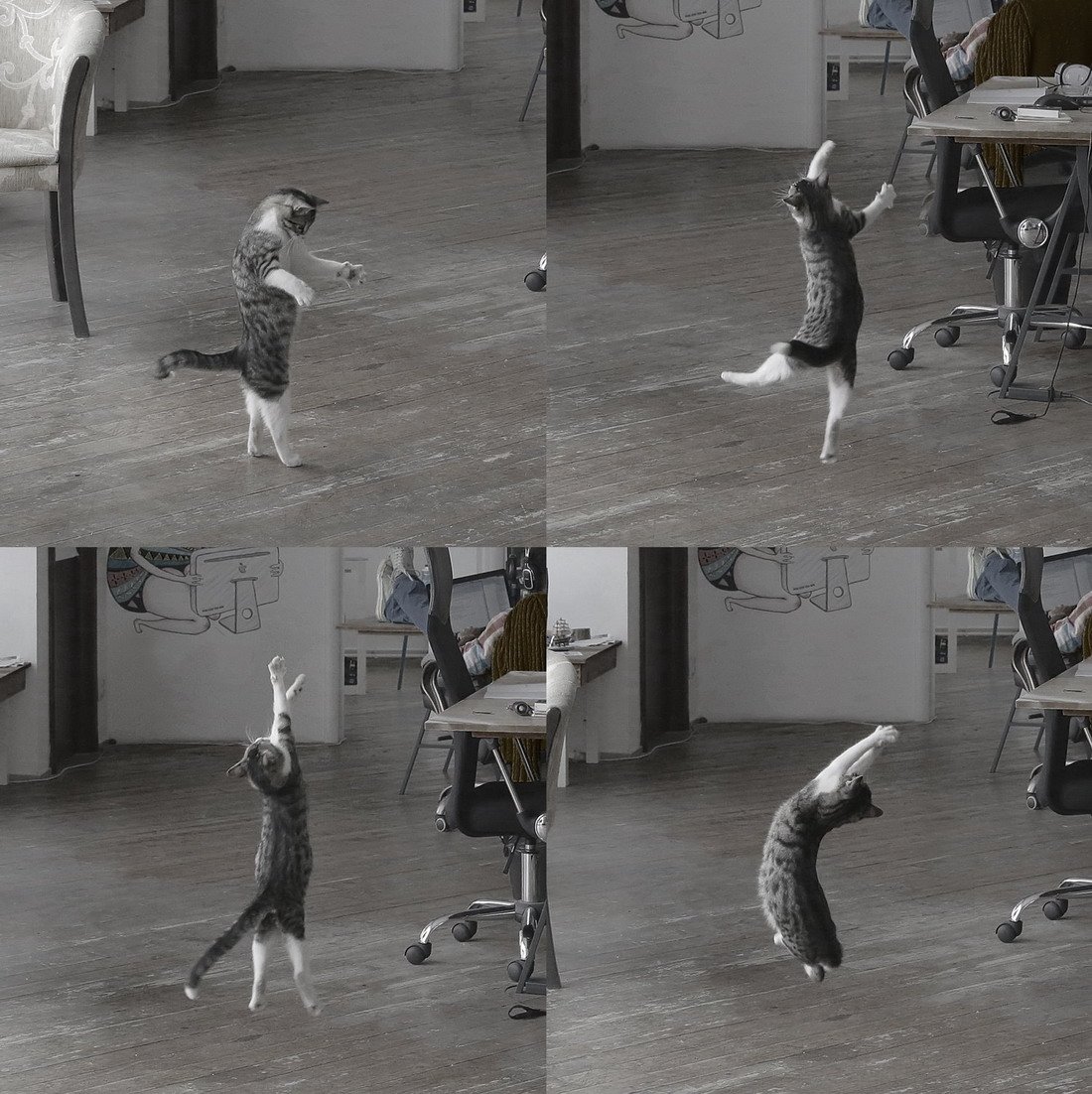 Балет бойс Перес