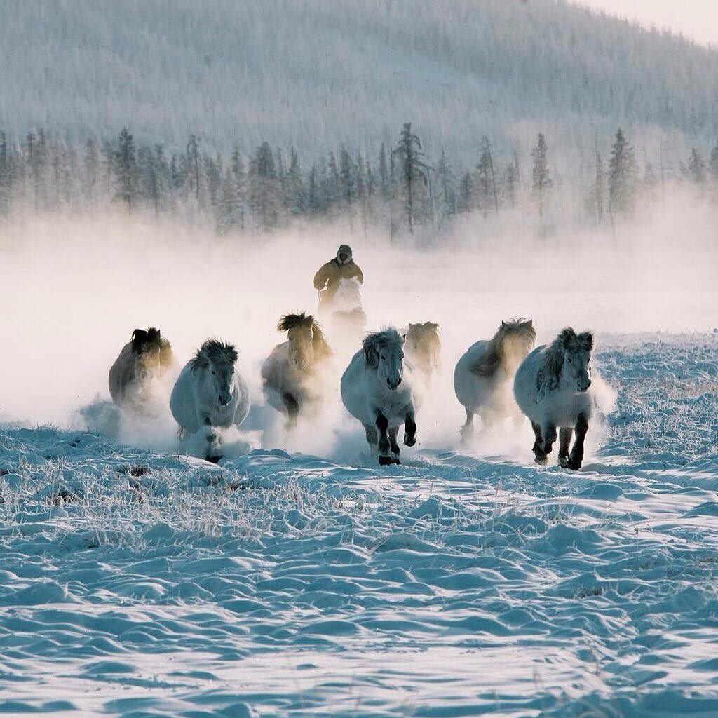 Республика саза Якутии