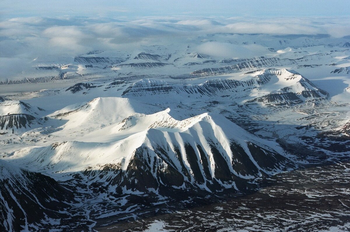 Остров Врангеля