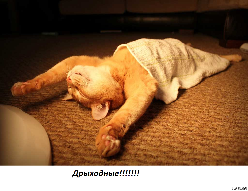 Доброе ленивое утро воскресенья