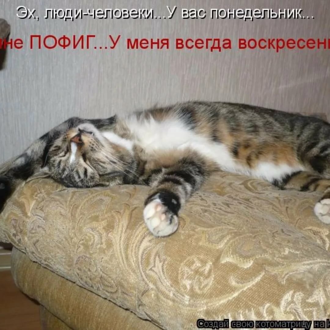 Воскресенье утро приколы