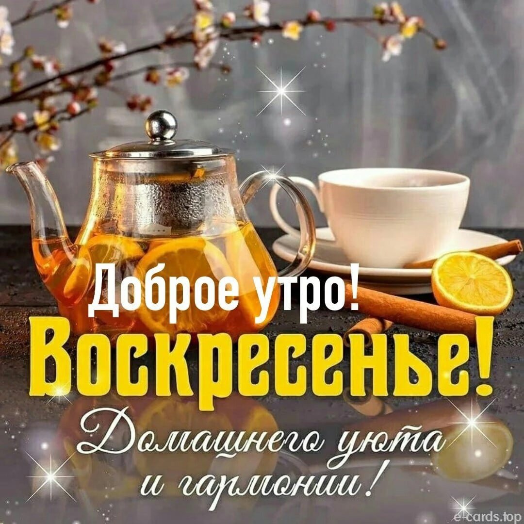 Доброе ноябрьское утро и хорошего дня