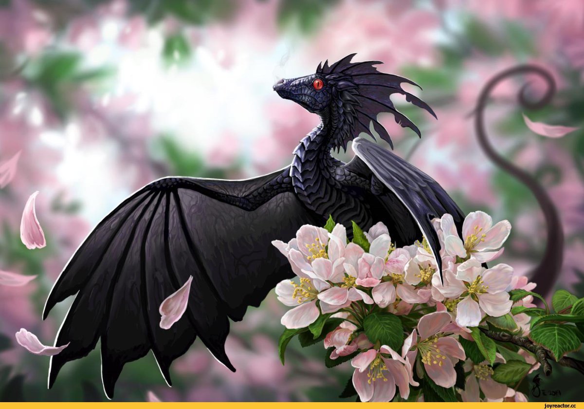 Черный дракон