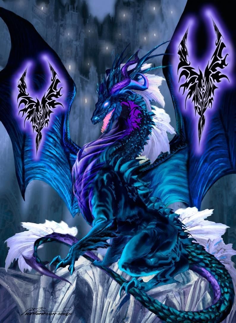 Зирнитра дракон