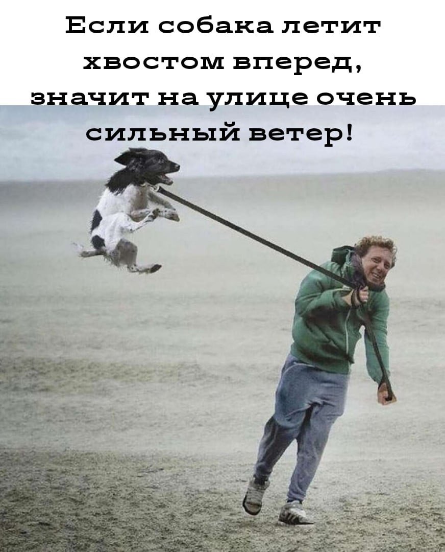 Слегка ветренно