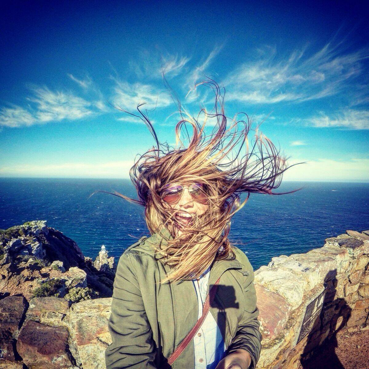 Гусь карикатура