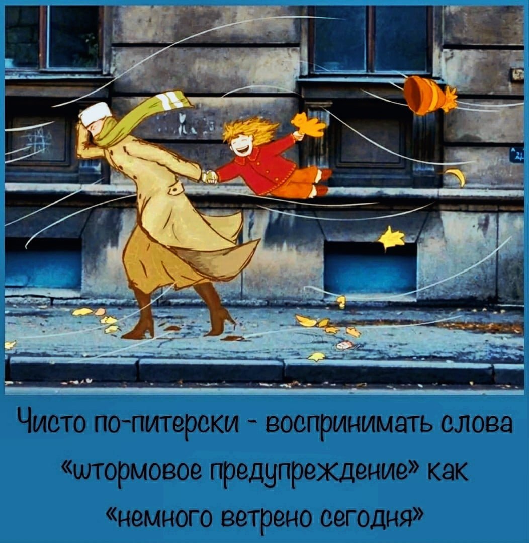 Фразы с ветром смешные