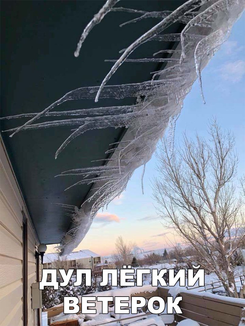 Ветер смешные картинки