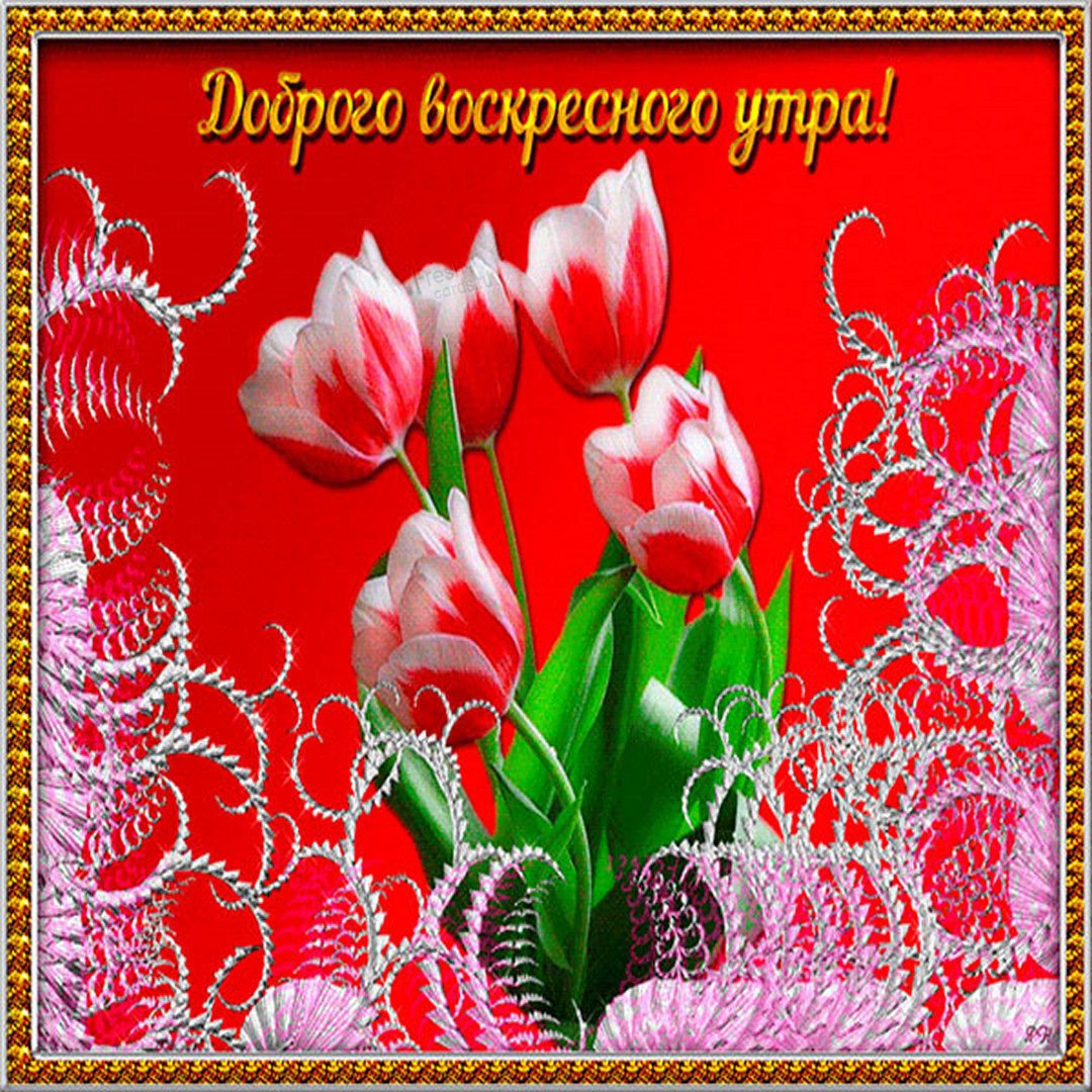 С добрым воскресным утром