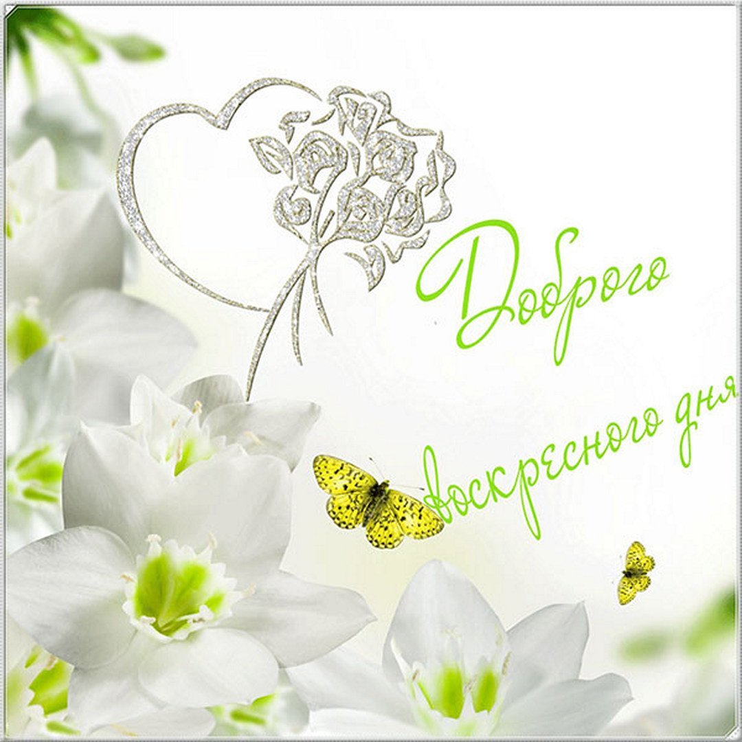 Хорошего воскресенья