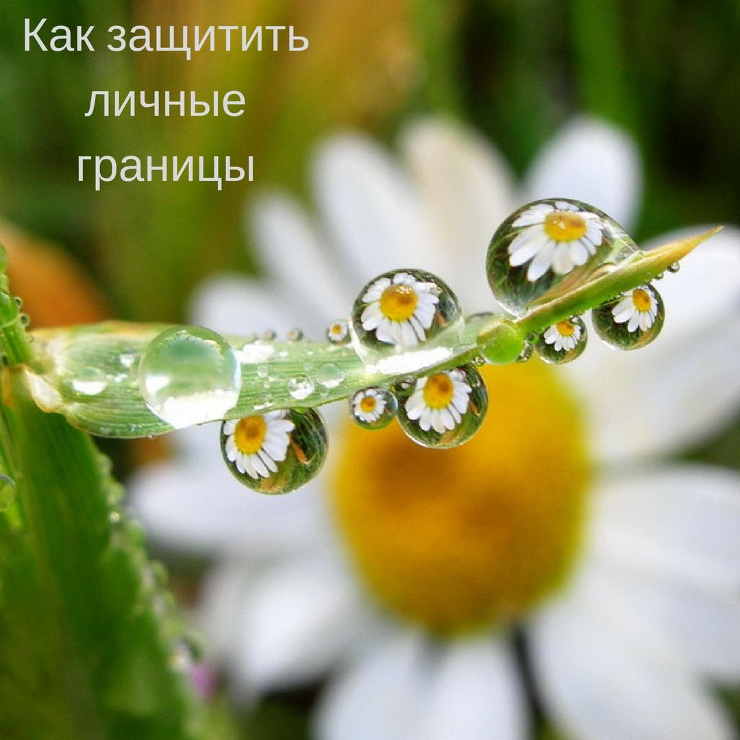 Солнце сквозь дождь