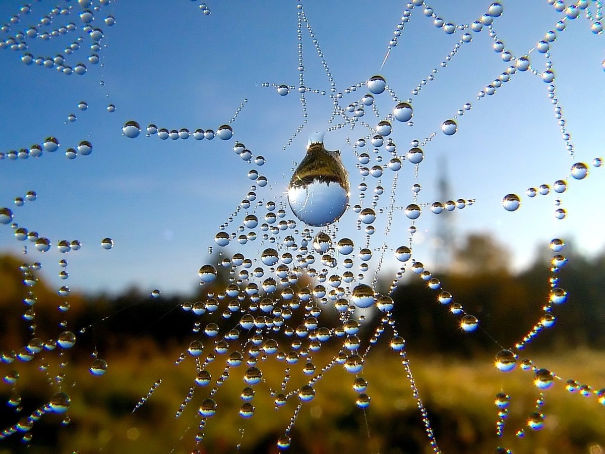 Проект на тему красота воды