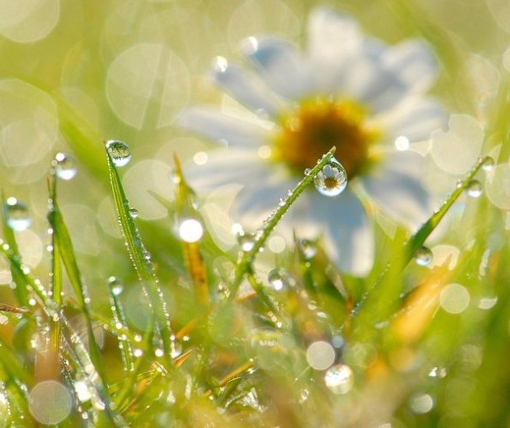 Макросъемка весенней капели