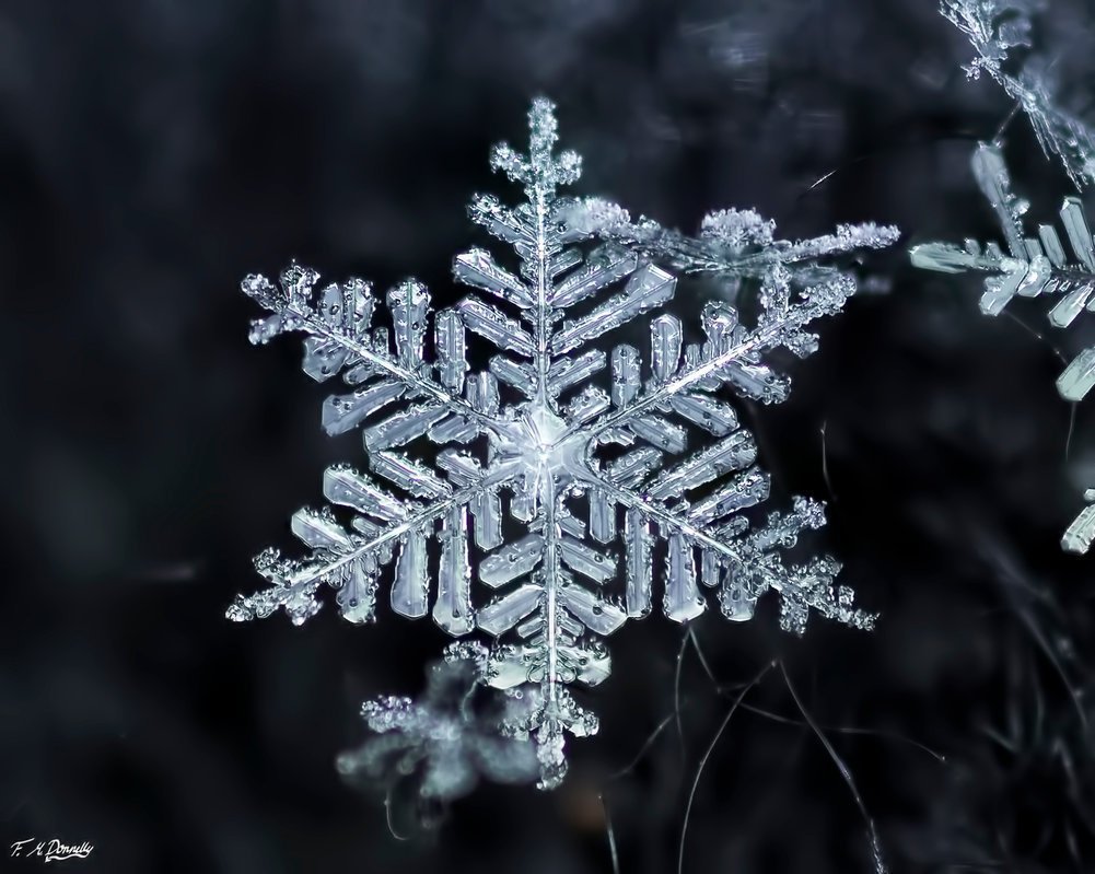 Красивые снежинки