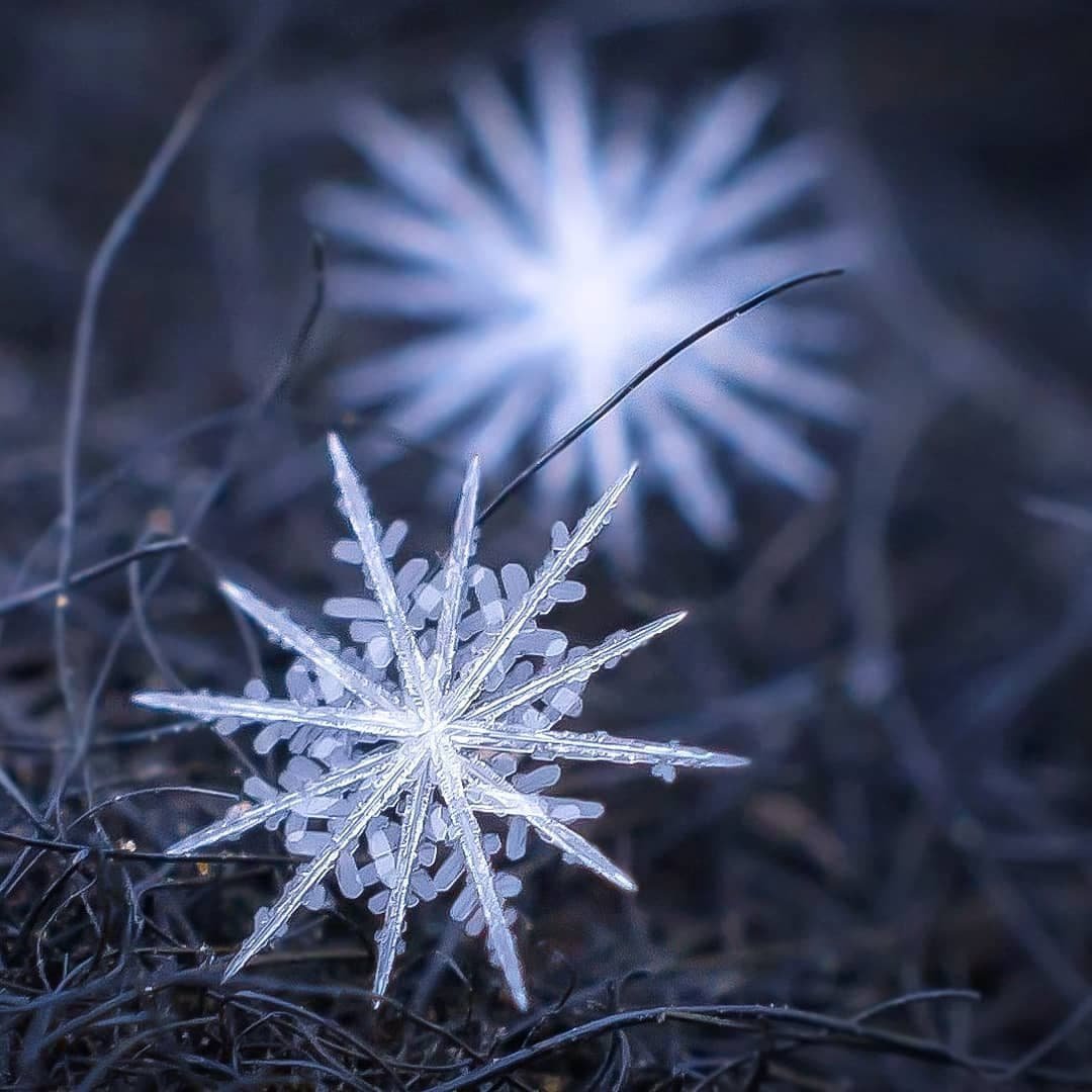 Обои на рабочий стол снежинки