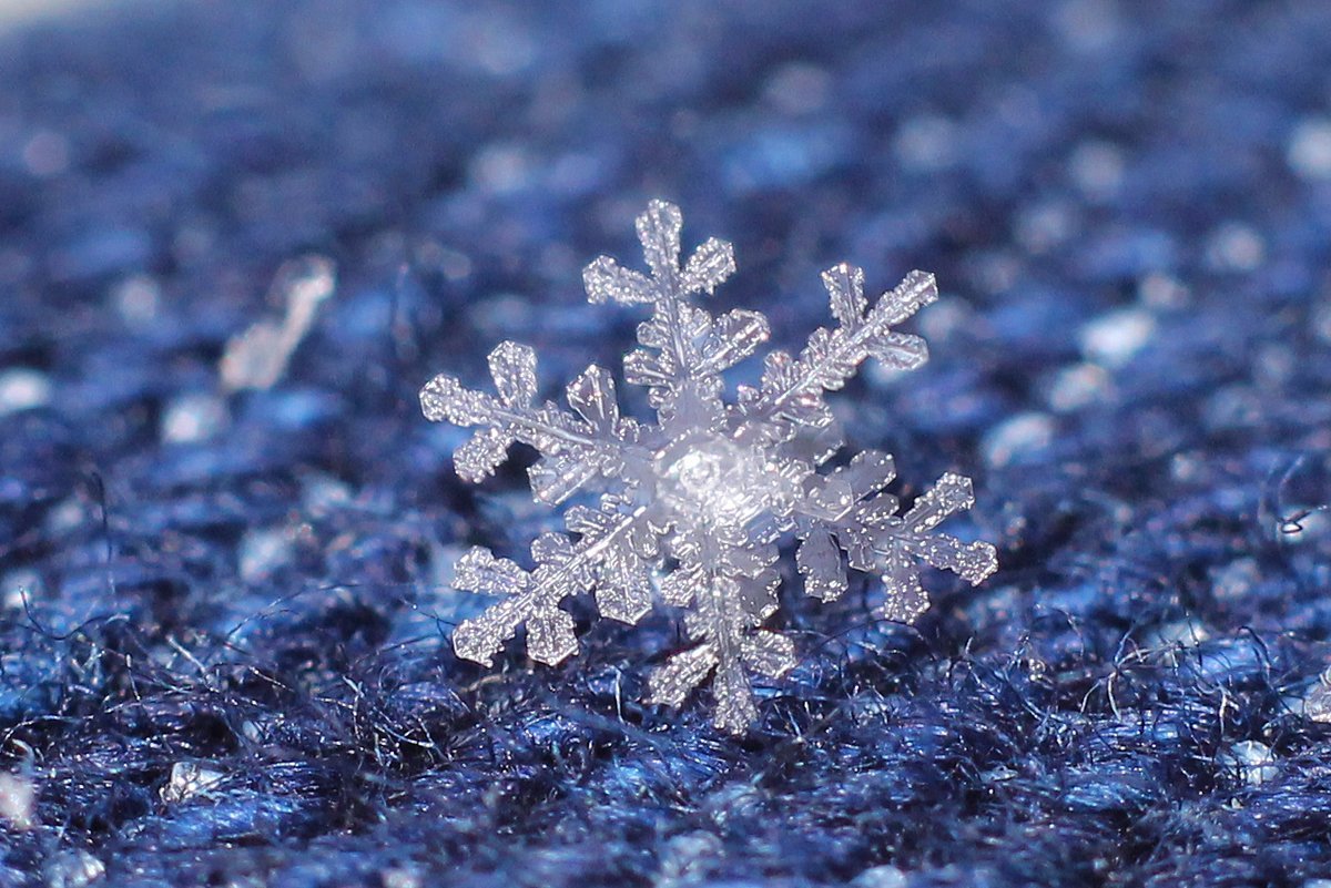 Снежинки в природе