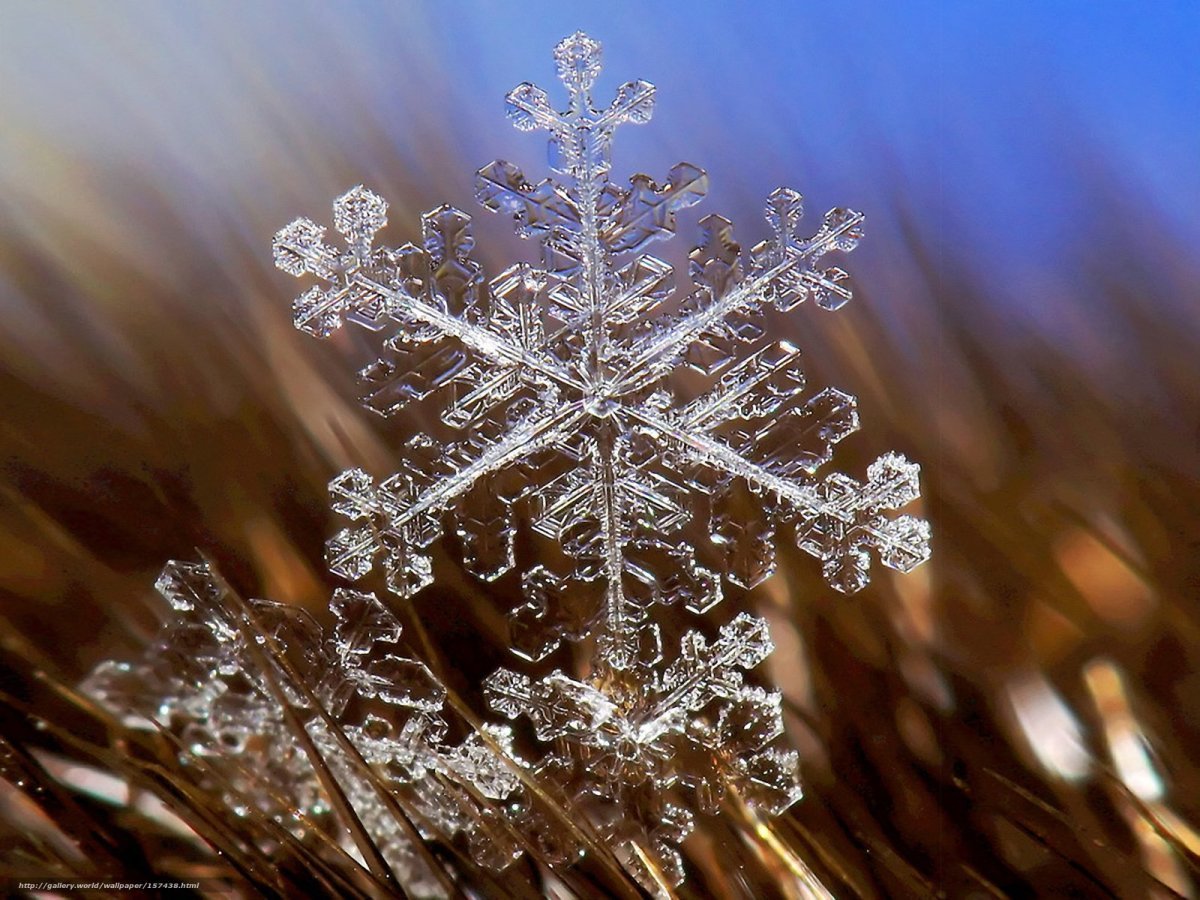 Алексей Клятов снежинки