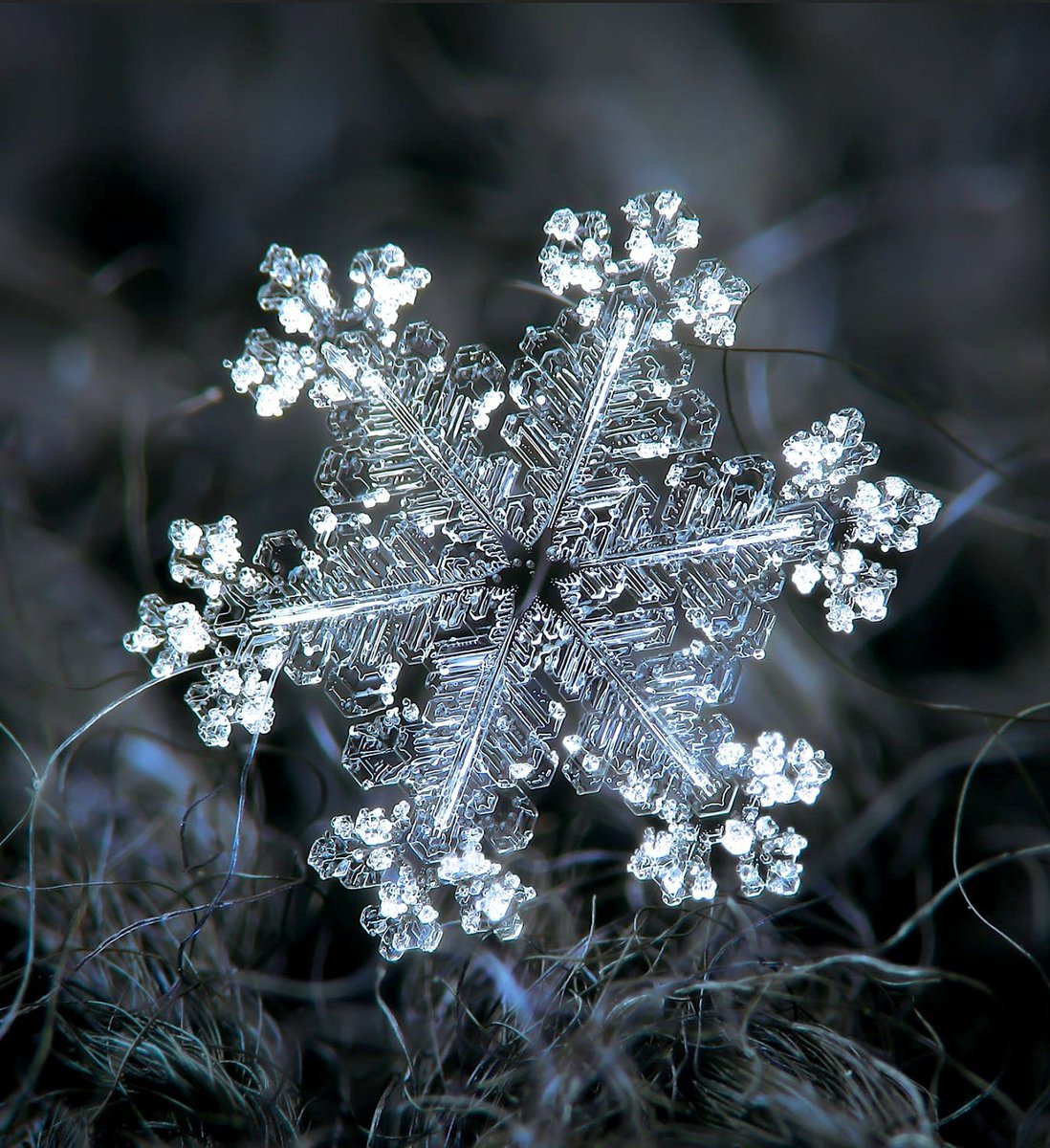 Снежинка Макросъемка