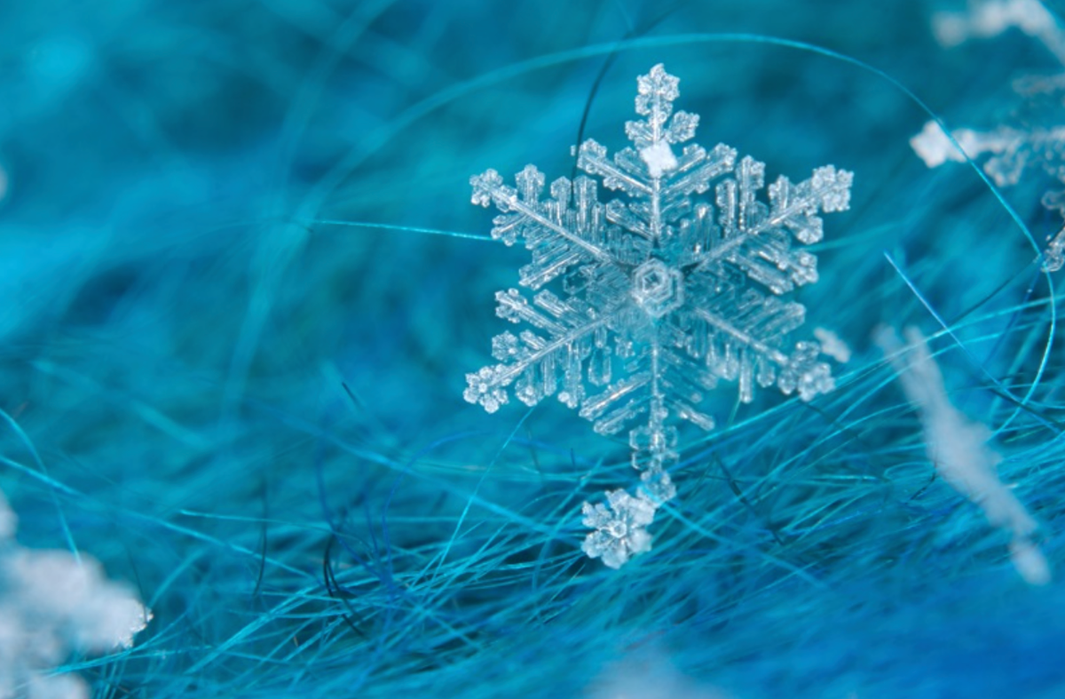 Снежинка Макросъемка